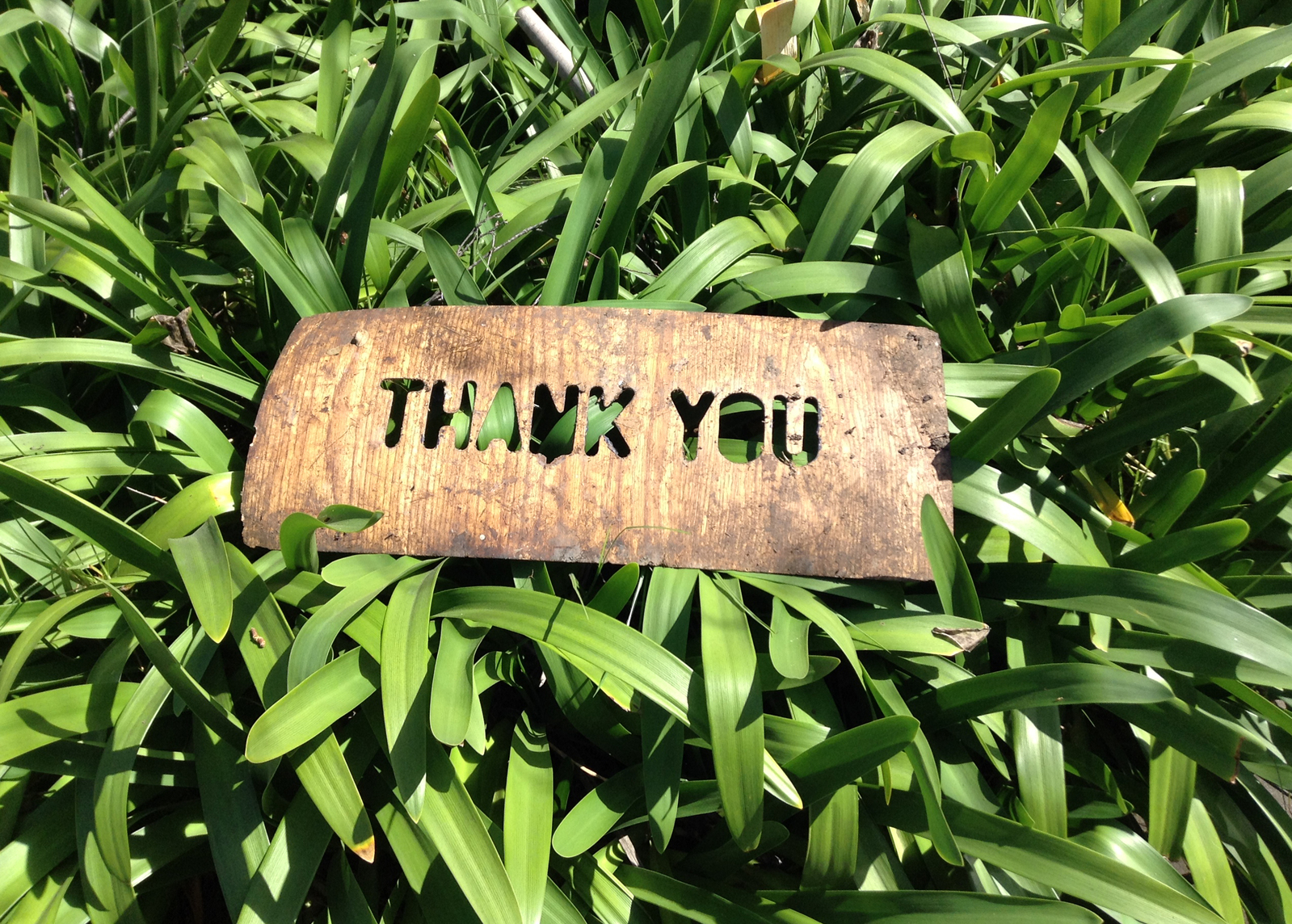 Employee Appreciation Day – 5 simple ways to say thanks (and it